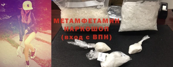 ПСИЛОЦИБИНОВЫЕ ГРИБЫ Дмитриев