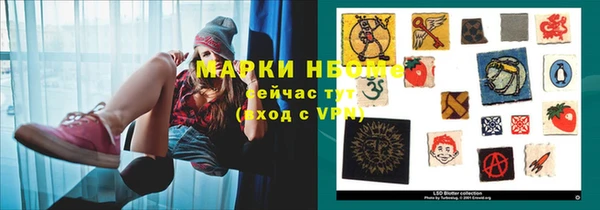 гидра Дмитров