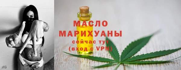 гидра Дмитров