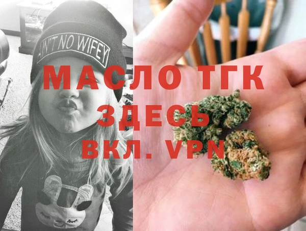 ПСИЛОЦИБИНОВЫЕ ГРИБЫ Дмитриев