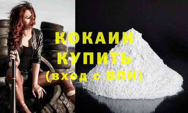 ПСИЛОЦИБИНОВЫЕ ГРИБЫ Дмитриев