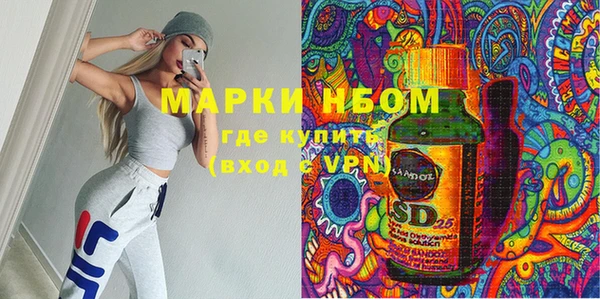 ПСИЛОЦИБИНОВЫЕ ГРИБЫ Дмитриев
