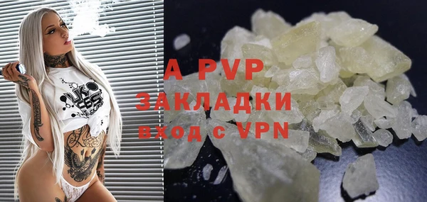 ПСИЛОЦИБИНОВЫЕ ГРИБЫ Дмитриев