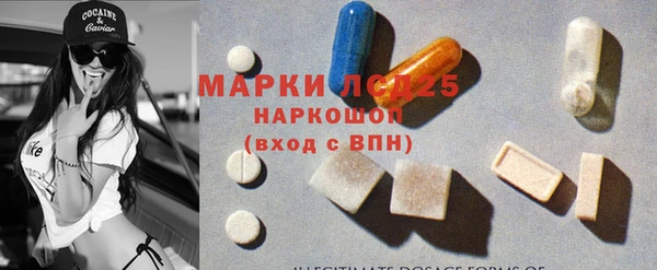 гидра Дмитров