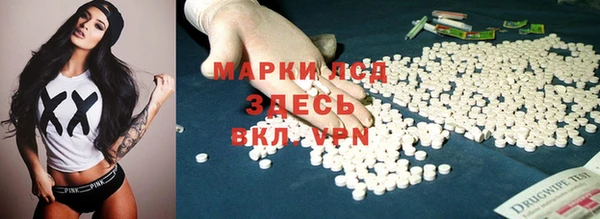 гидра Дмитров